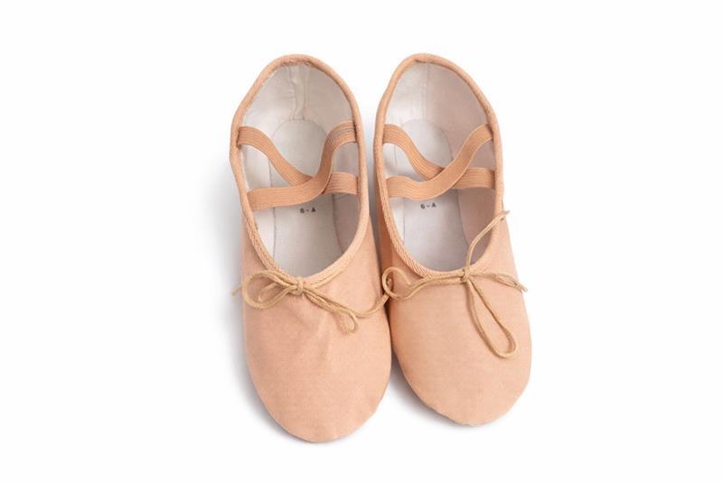 Canvas Ballet Shoes